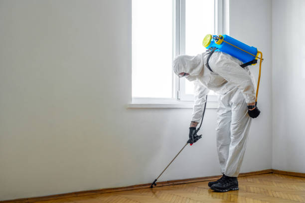 Best Commercial Pest Control  in Canutillo, TX